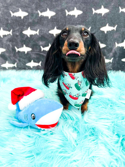 Sharks!