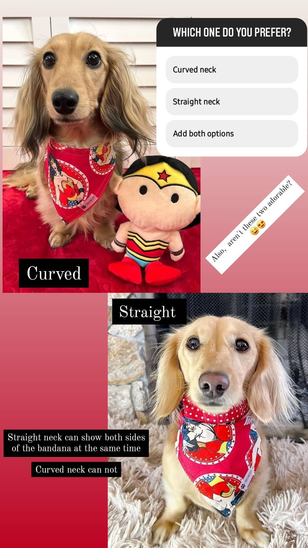 Add a Little Spice Dog Bandana