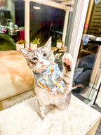 Zen Garden Collection/ Koi fish Pond/ Pet bandana/ Pet neckwear/ Dog/ Cat