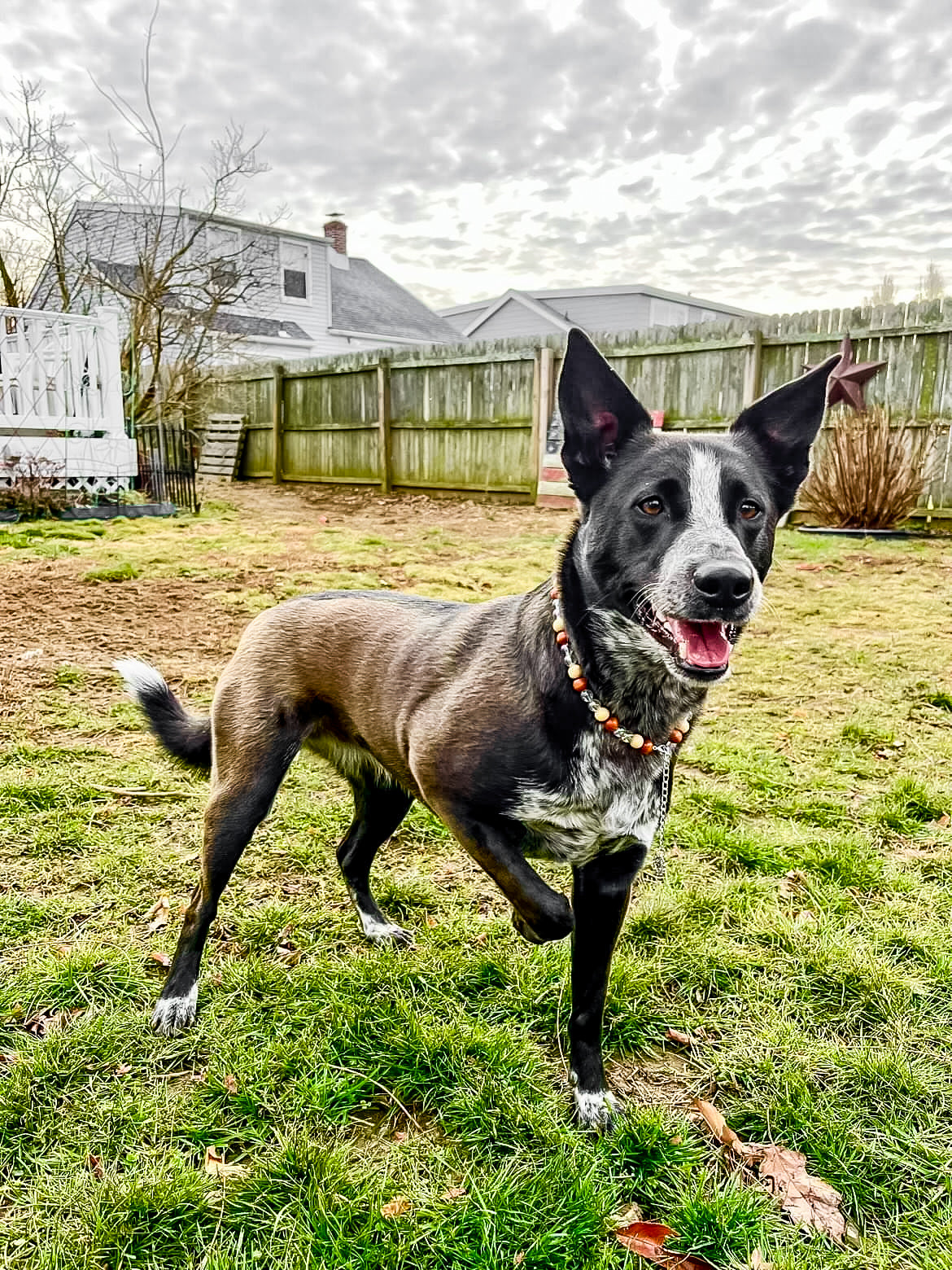 Woods & Streams Necklace