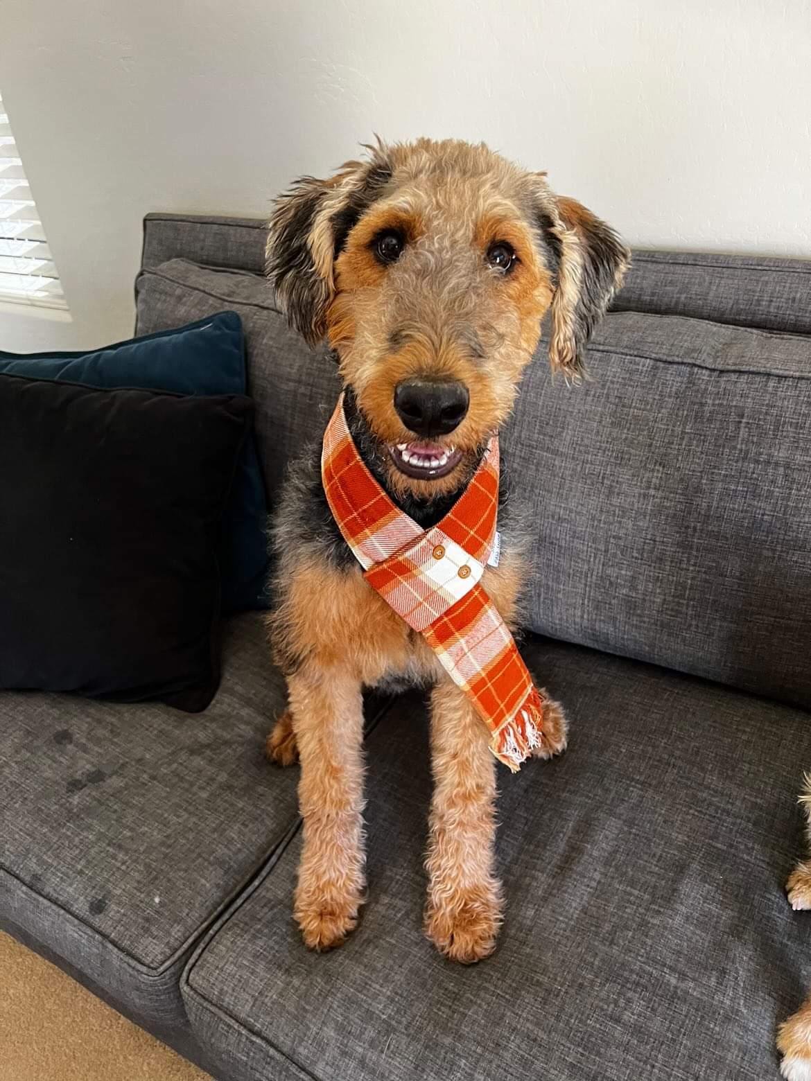 Pumpkin