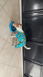Wild Animals Dog PJ