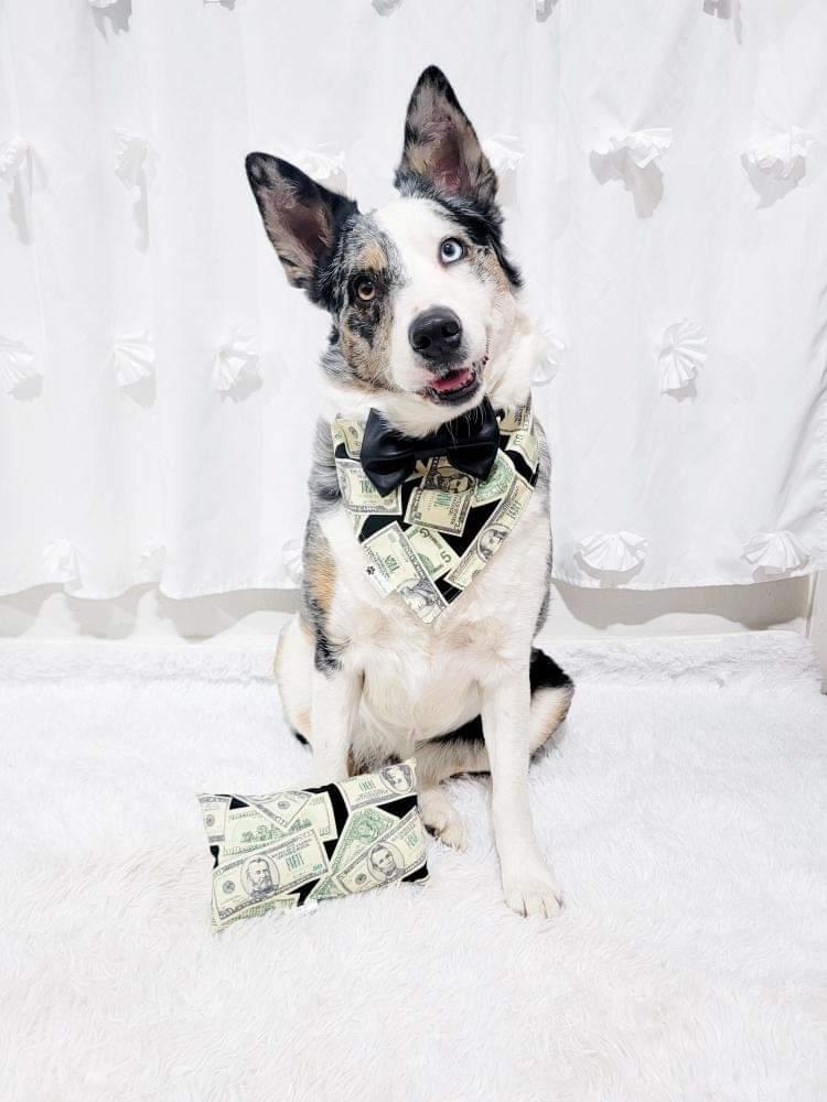 Just a bit spoiled