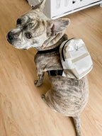 Neutral Stripes Dog/Human Backpack