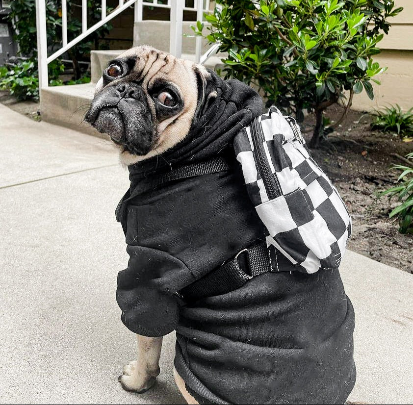 Checkered Checks Dog/Human Backpack