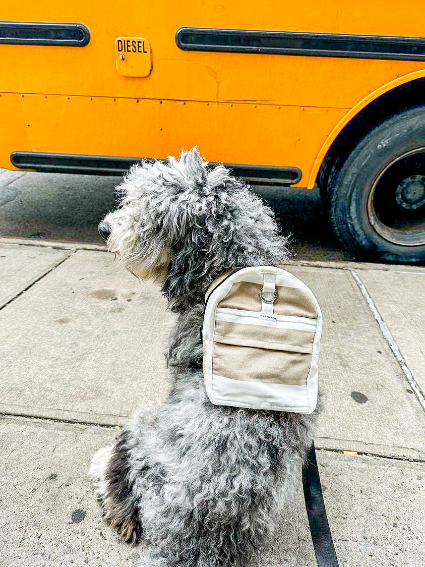 Neutral Stripes Dog/Human Backpack