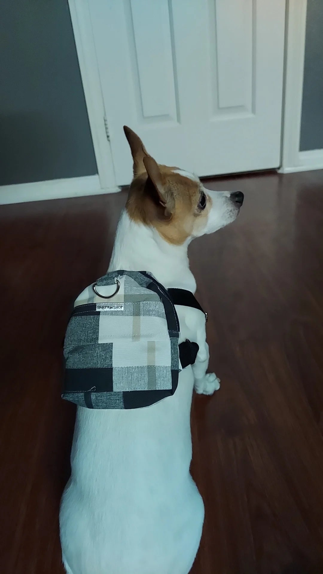Grey Plaid Dog/Human Backpack
