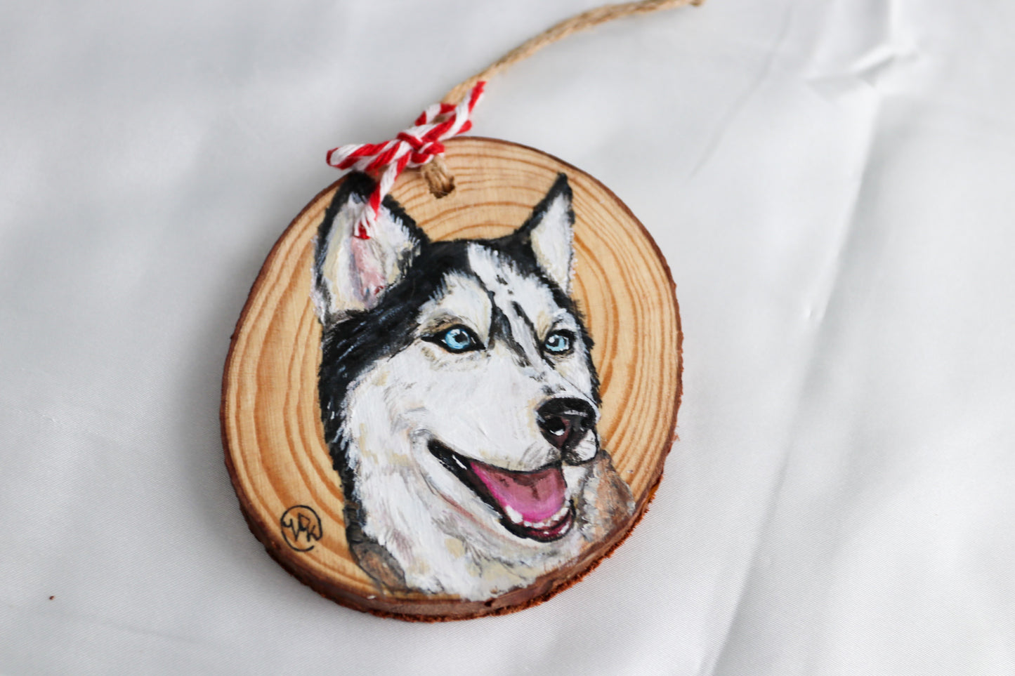 Hand painted Pet Ornaments