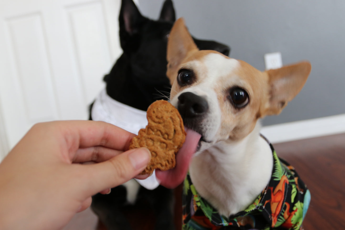 PB Banana Dog Cookies