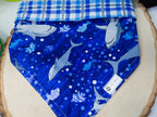 Shark Frenzy