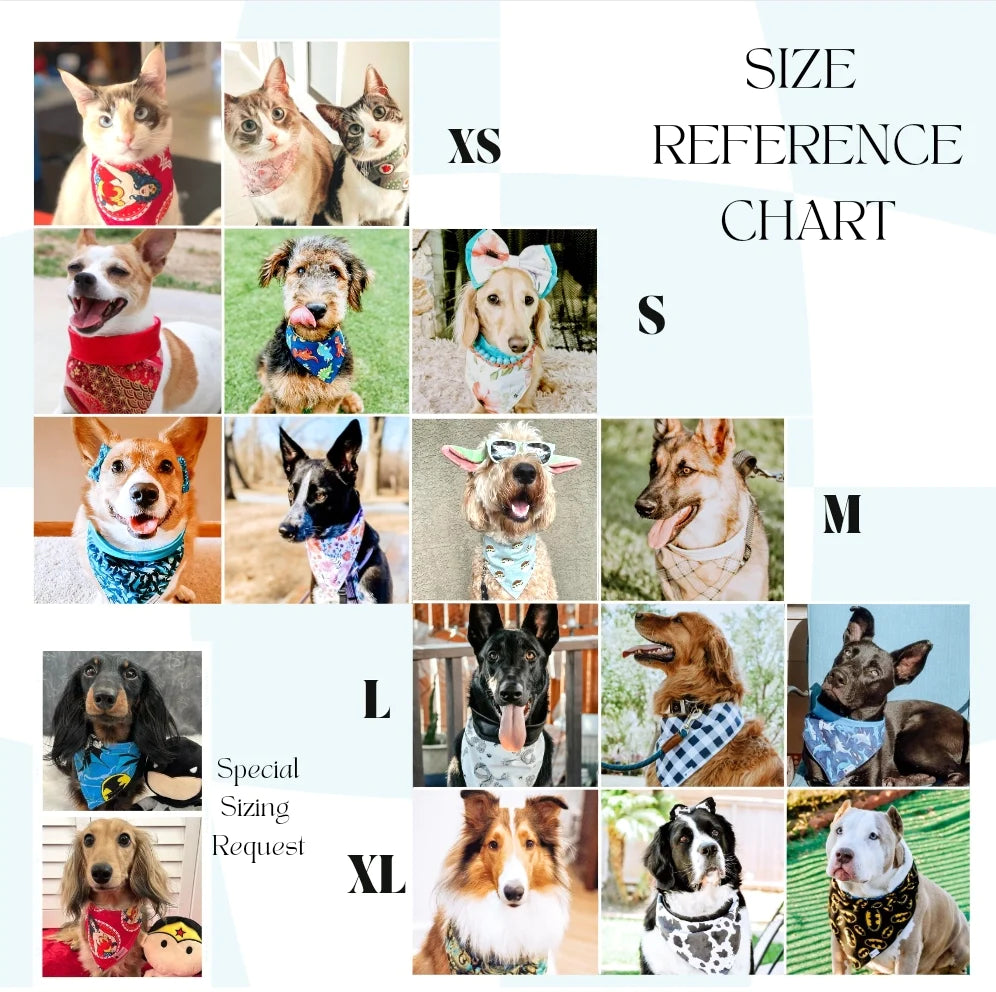 Pumpkin Elegance Dog Bandana
