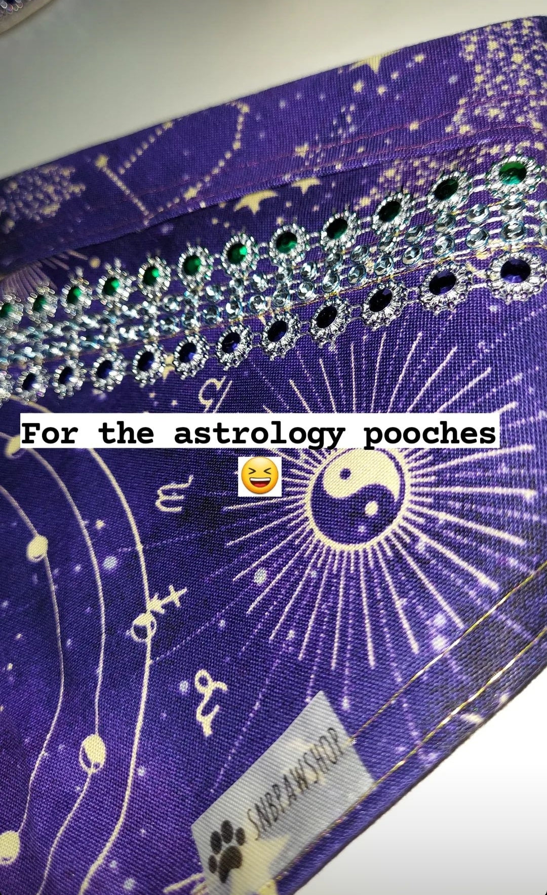 Astrology Pooches