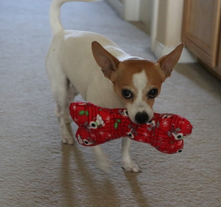 Jolly Dog Toy