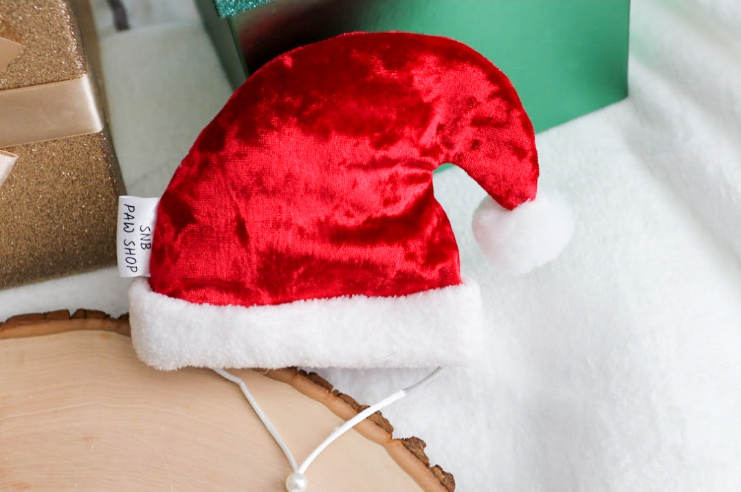 Santa & Elf hats