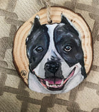 Hand painted Pet Ornaments