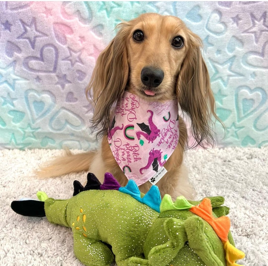I'm a Dragon