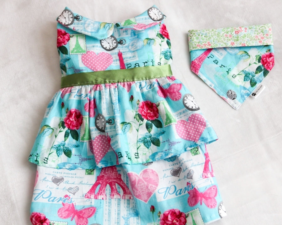 Love in Paris Dog Dress