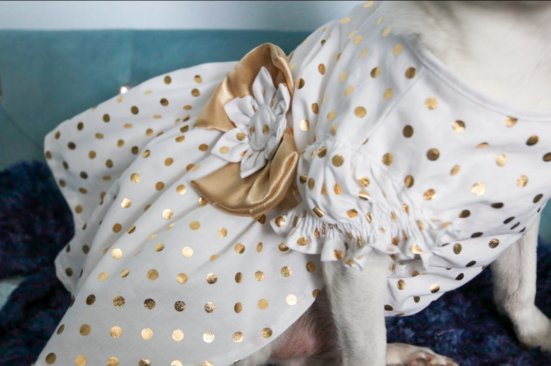 The One Dog Dress