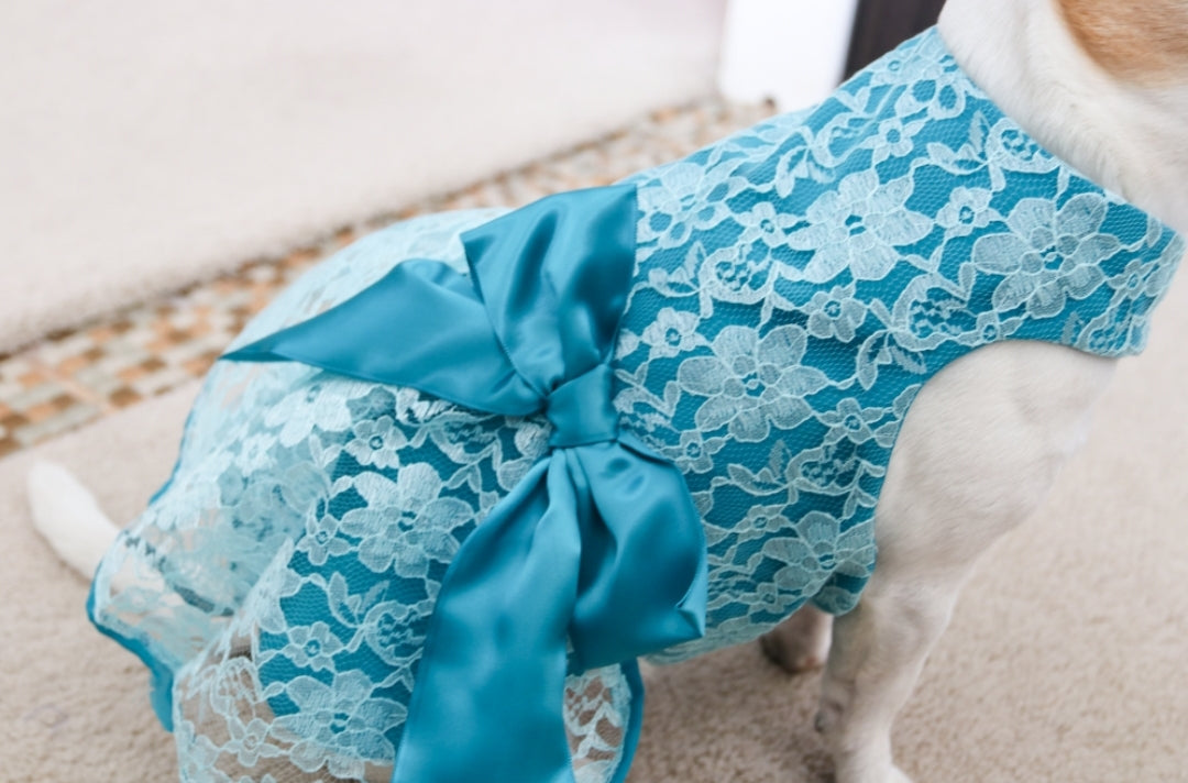 Lacey Blue Dog Dress