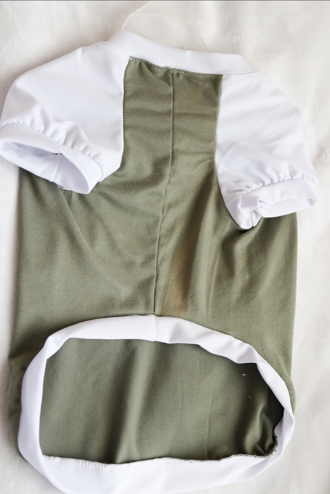 Green n white Dog PJ