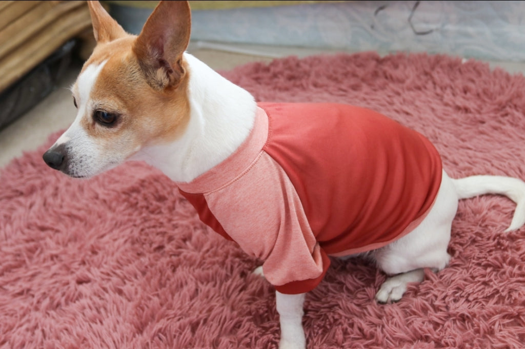 Pink Dog PJ