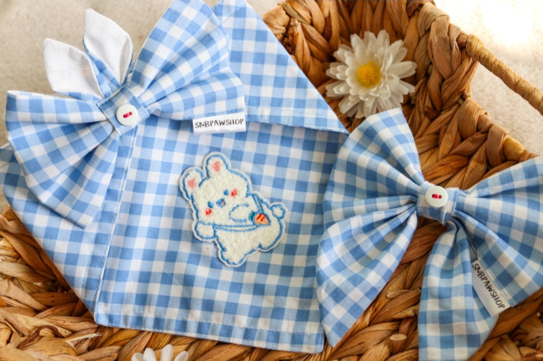 Gingham bunny baby
