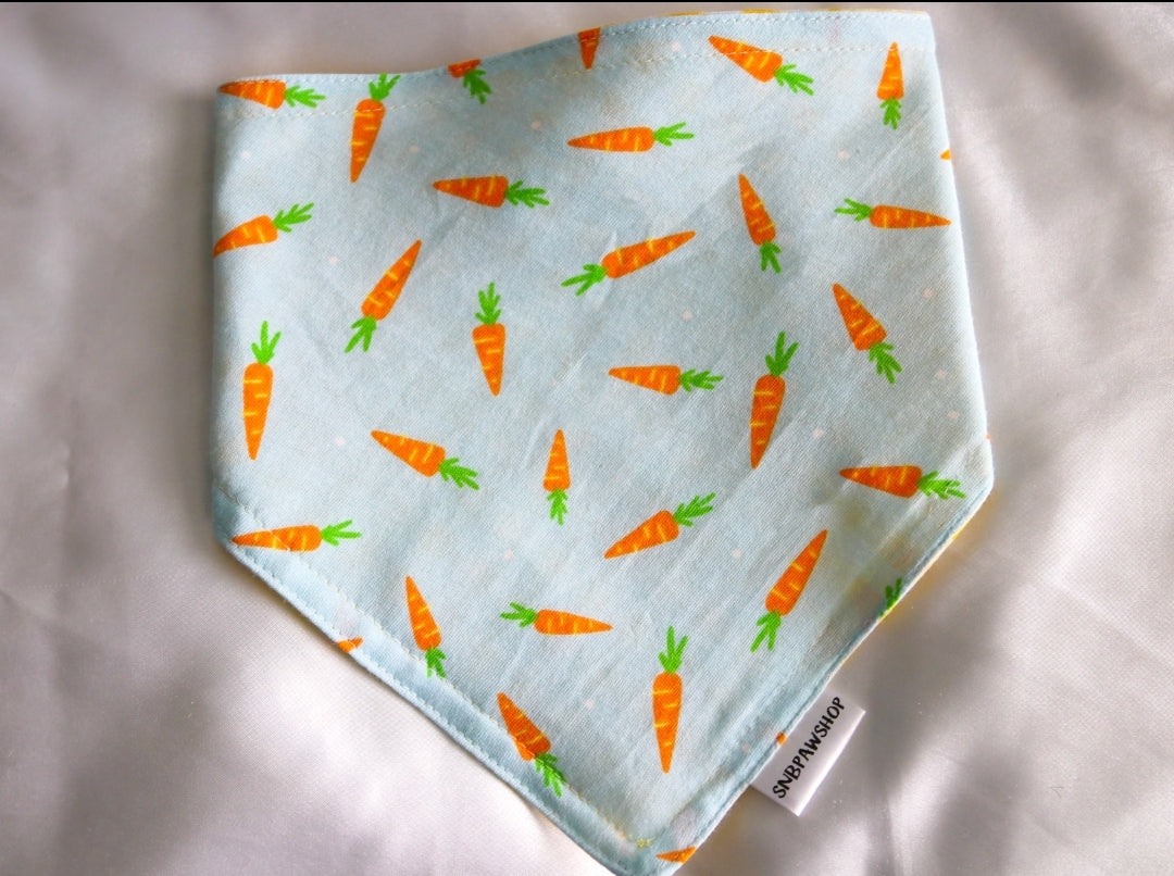 i love carrots