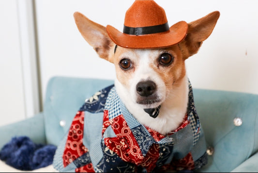 Western Dog Shirt