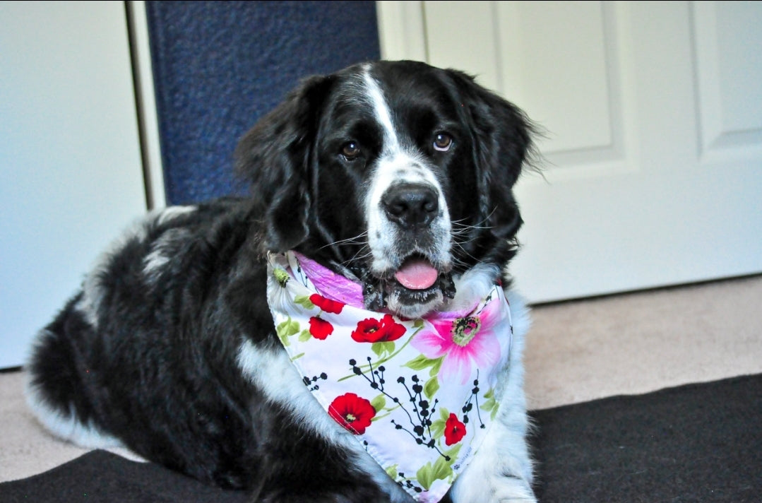 Lovely Florals