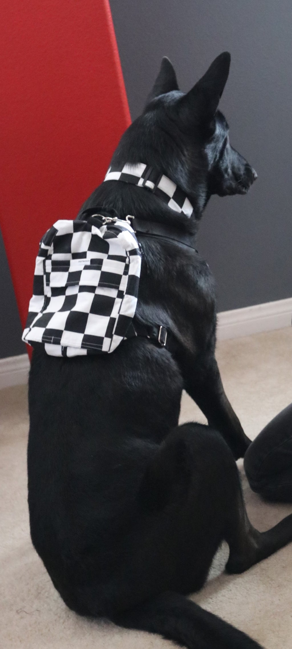 Checkered Checks Dog/Human Backpack