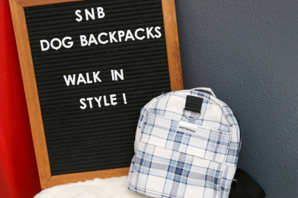 Baby Blue Plaid Dog/Human Backpack