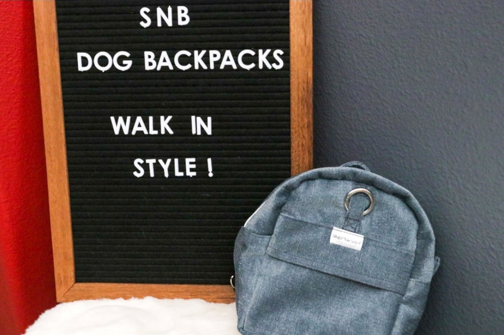 Blue Suede Dog/Human Backpack