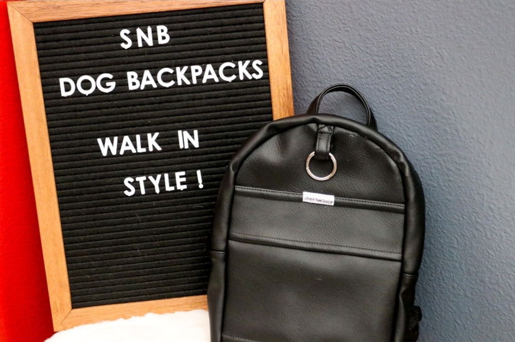 Black Leather Dog/Human Backpack