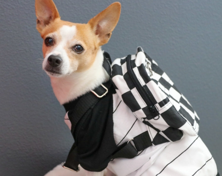 Rock On Dog PJ