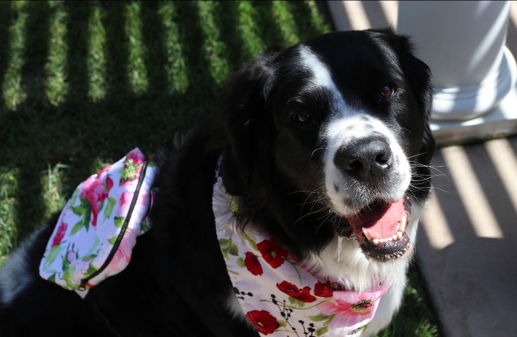Floral Garden Dog/Human Backpack