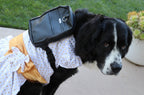 Black Leather Dog/Human Backpack