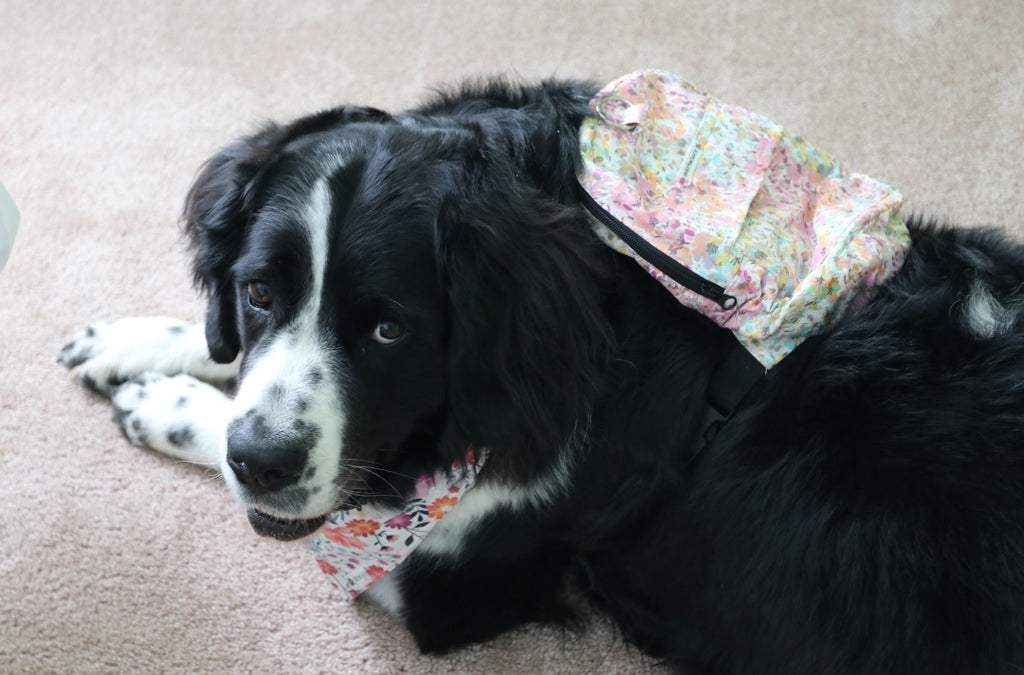 Fairytale Dog/Human Backpack