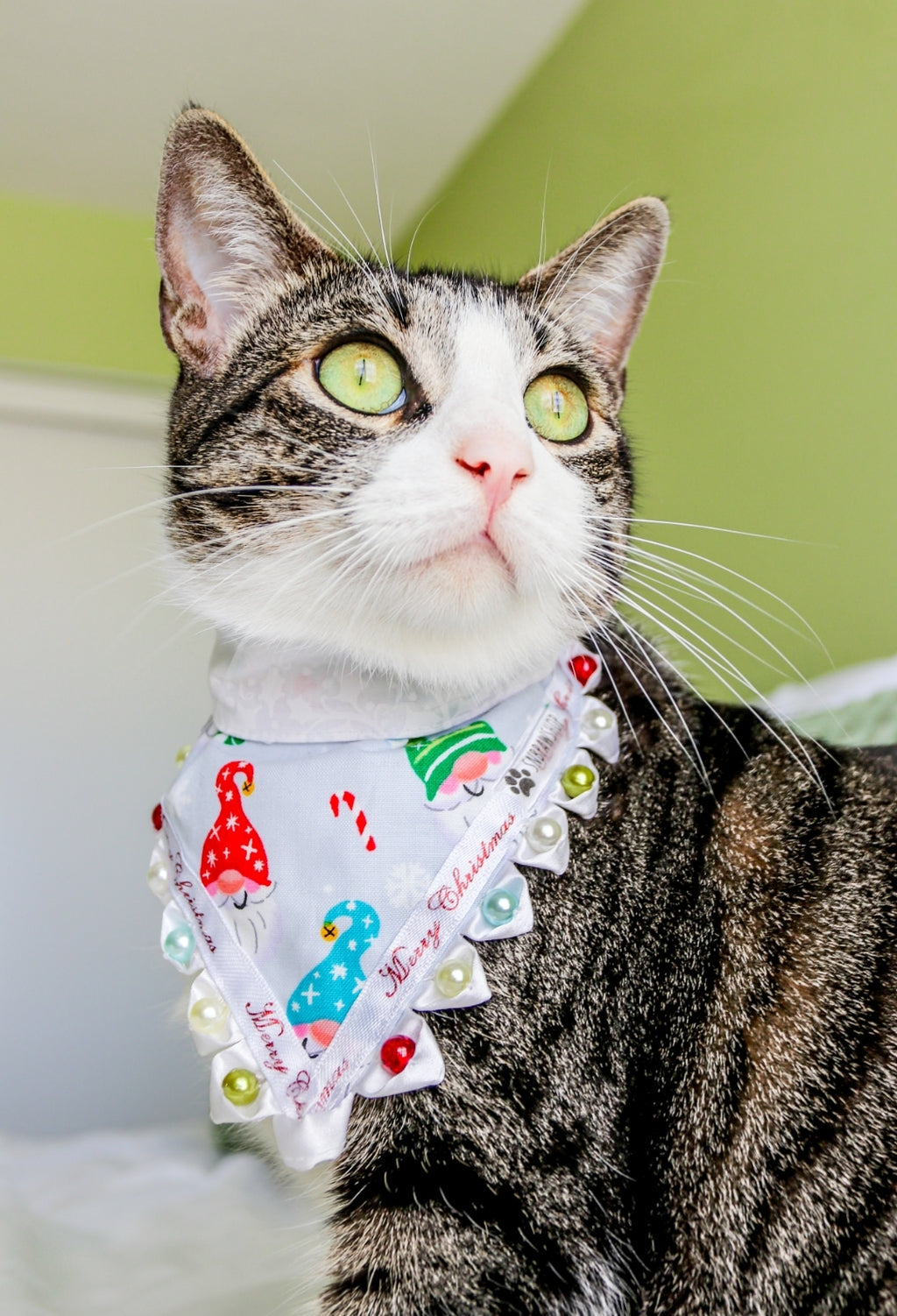 Chillin with my Gnomies