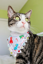 Chillin with my Gnomies