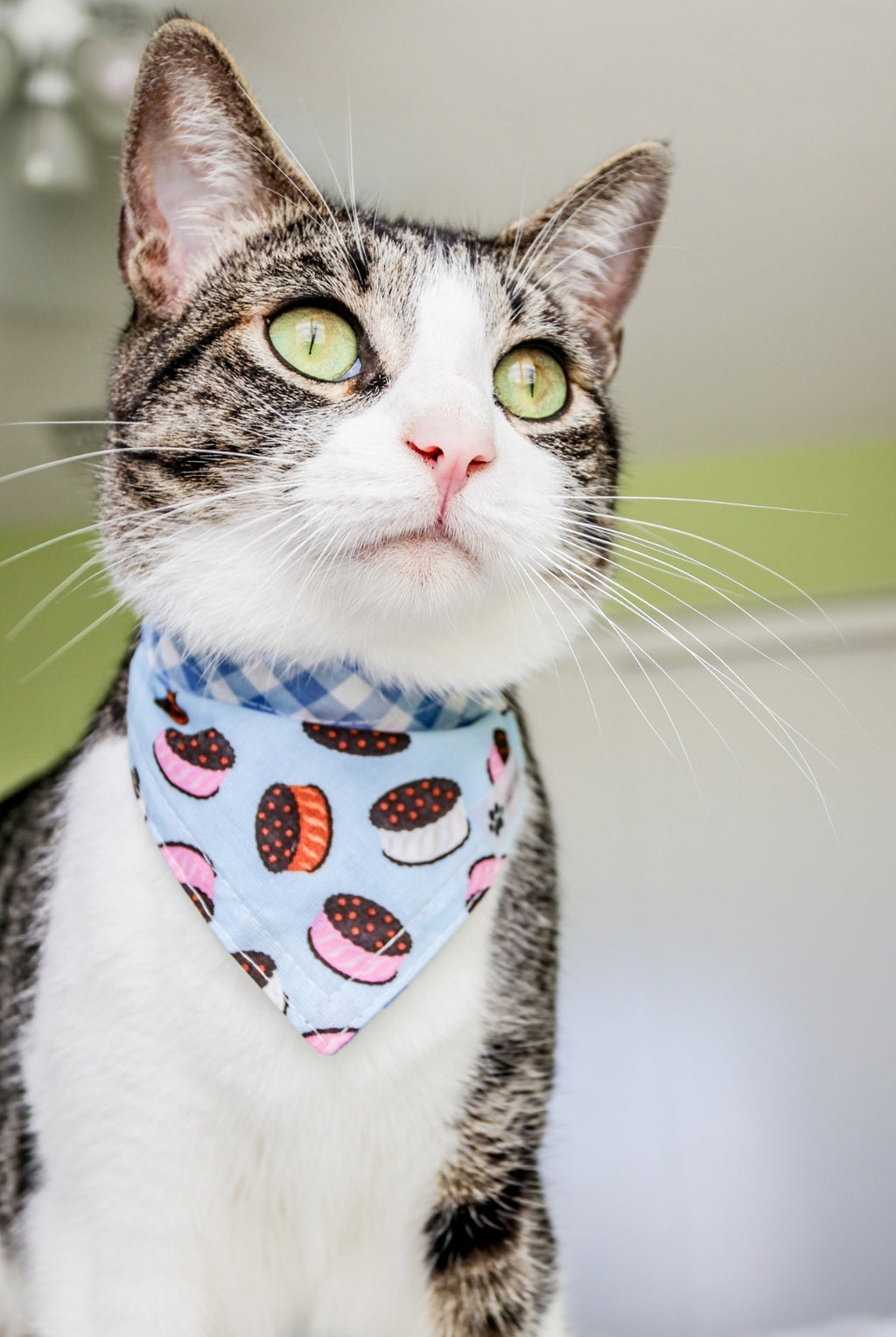 I Scream for Ice Cream