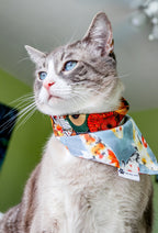 Zen Garden Collection/ Koi fish Pond/ Pet bandana/ Pet neckwear/ Dog/ Cat