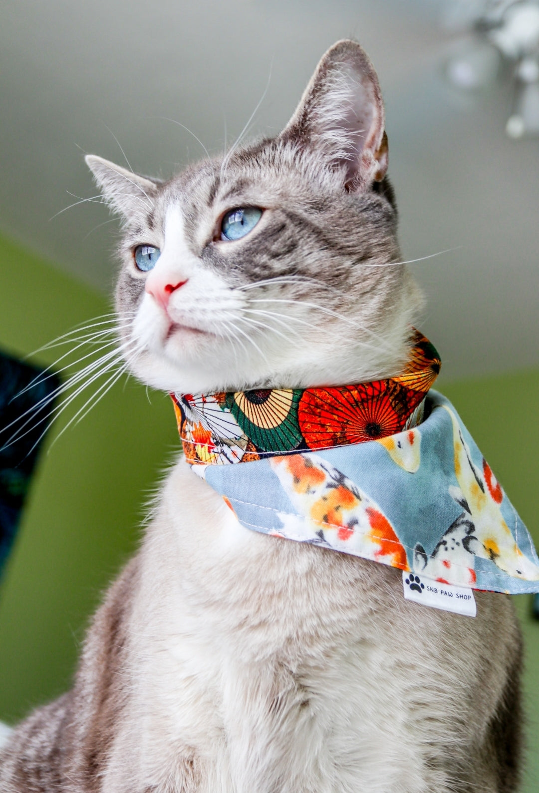 Zen Garden Collection/ Koi fish Pond/ Pet bandana/ Pet neckwear/ Dog/ Cat