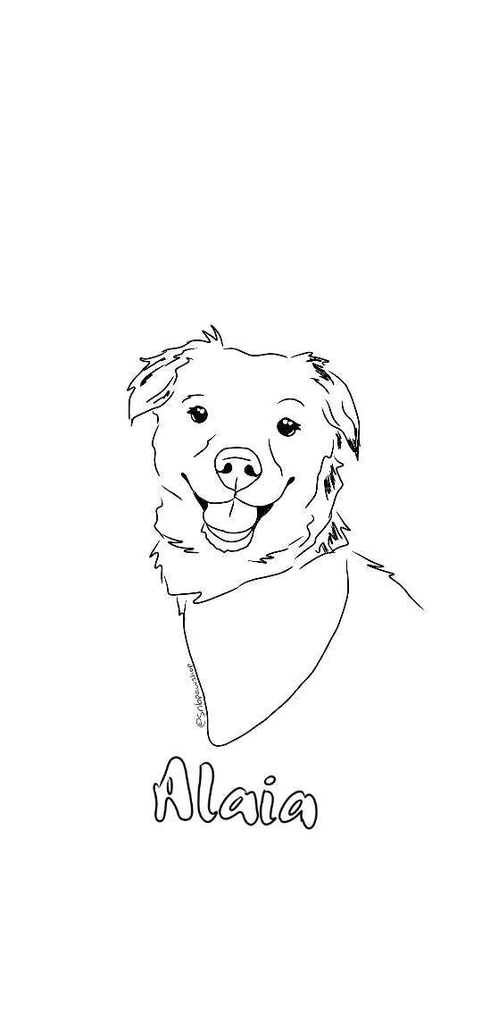 Digital Custom Dog Portrait/ Pet Portrait/ Line Drawing Dog Portrait