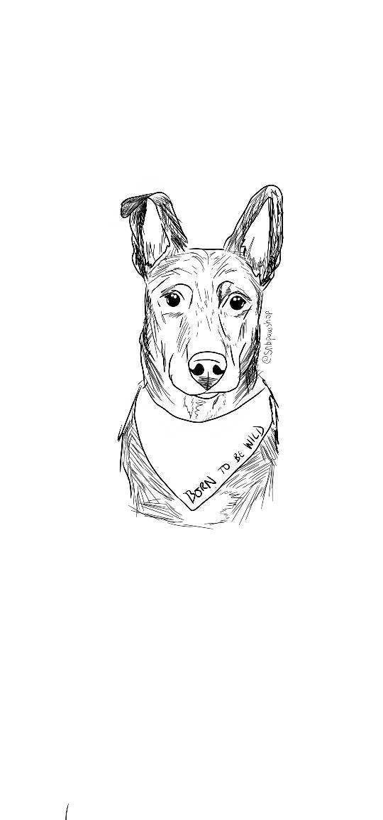 Digital Custom Dog Portrait/ Pet Portrait/ Line Drawing Dog Portrait