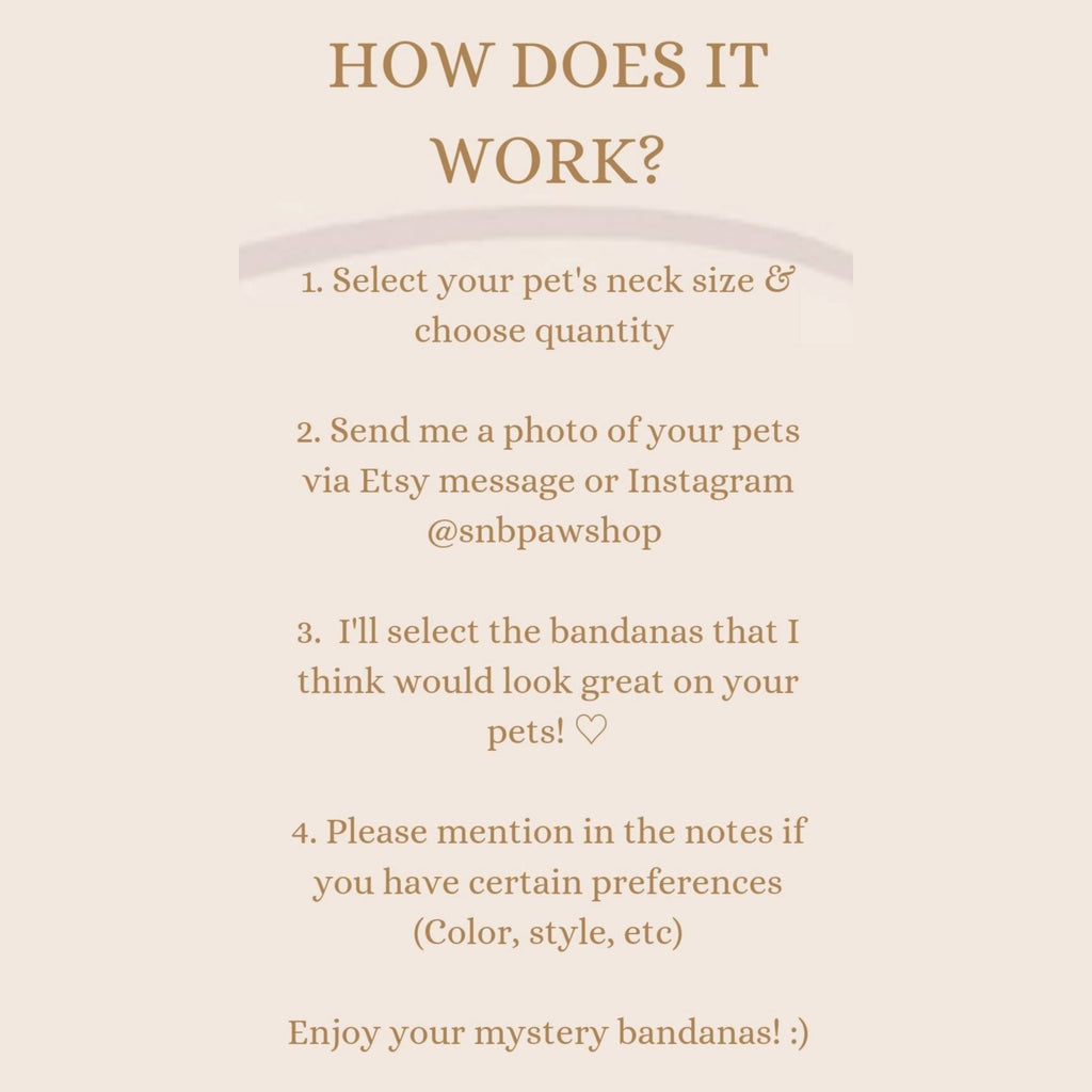 MYSTERY BANDANA