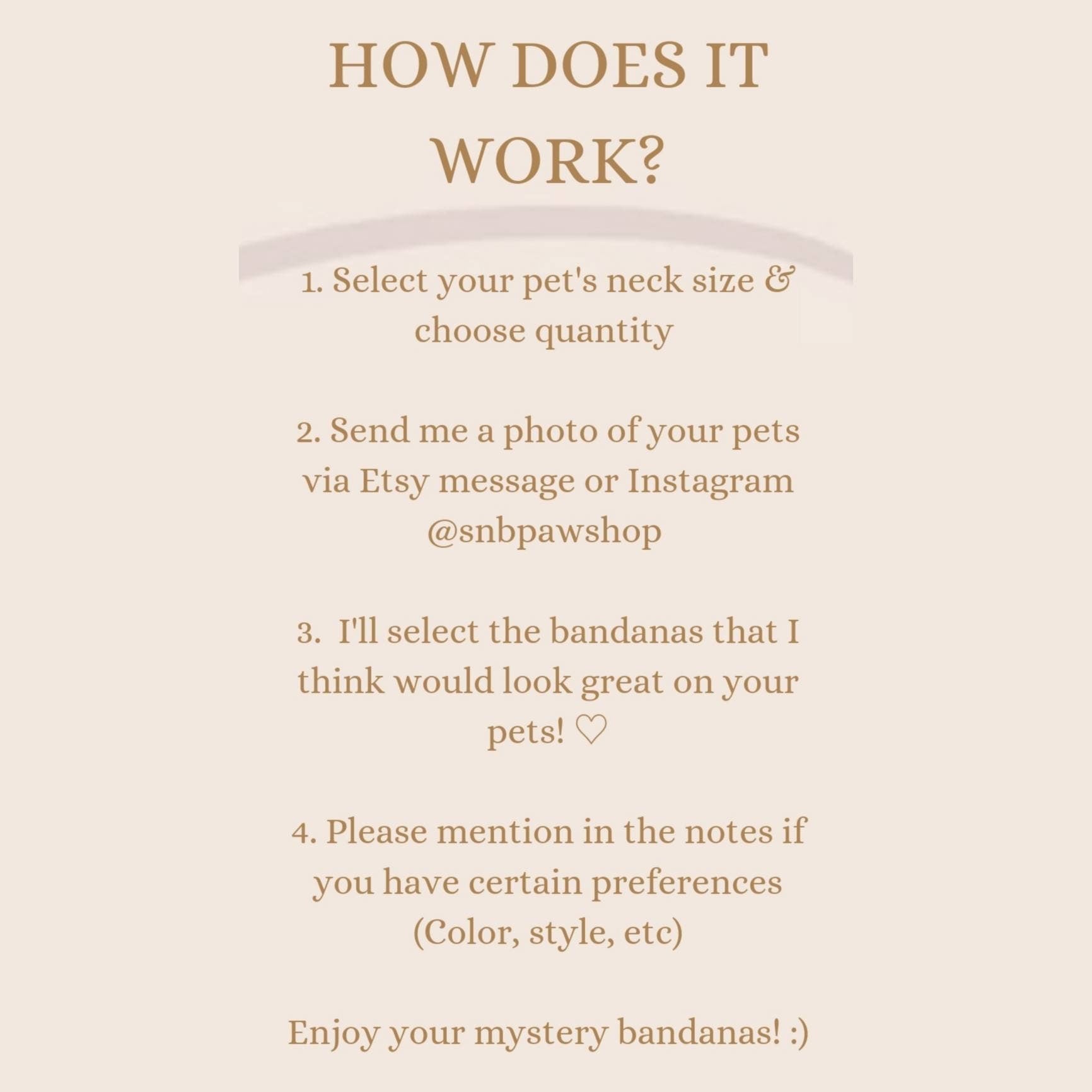 MYSTERY BANDANA