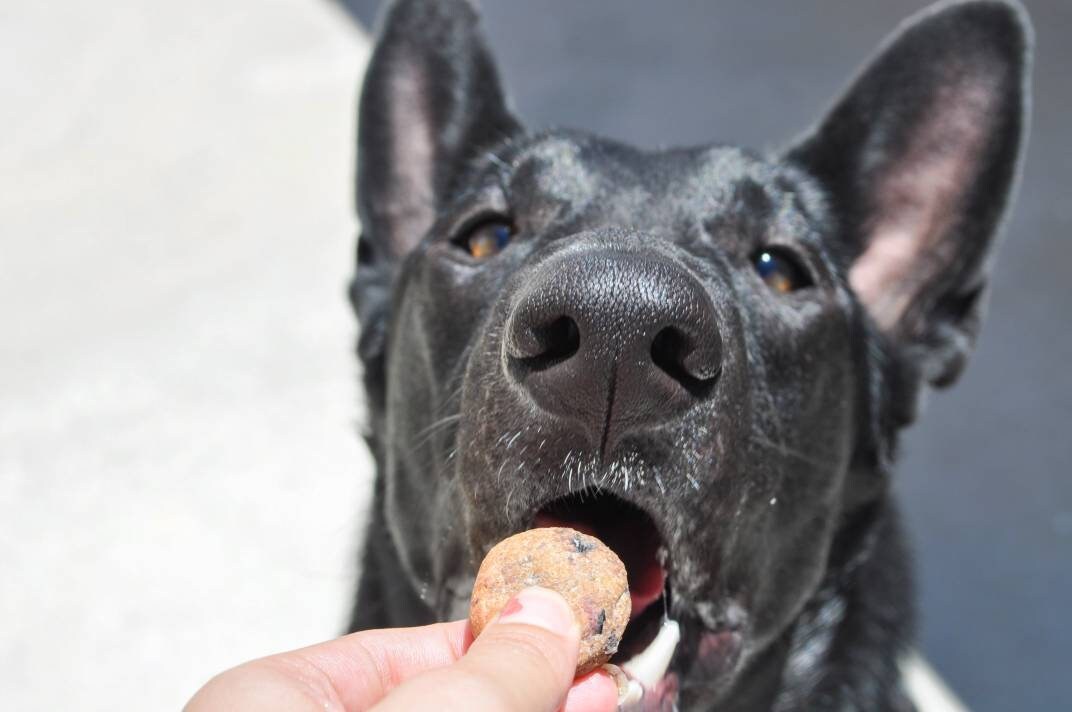 Blueberry & Strawberry PB Dog Cookies (US Shipping Only)