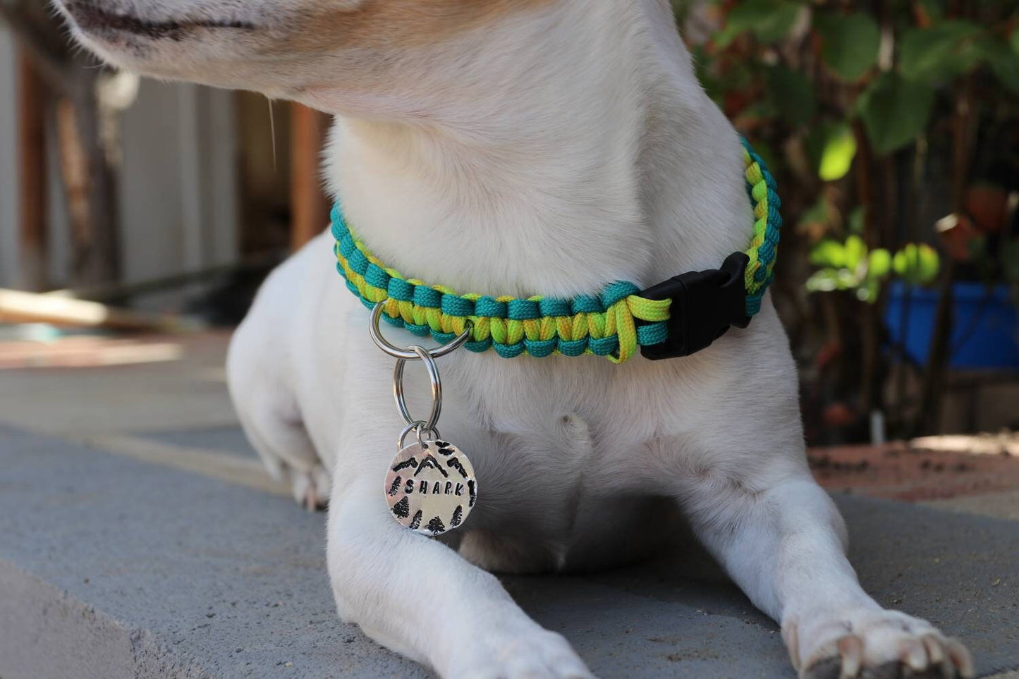 Mystery Van - Paracord Collar