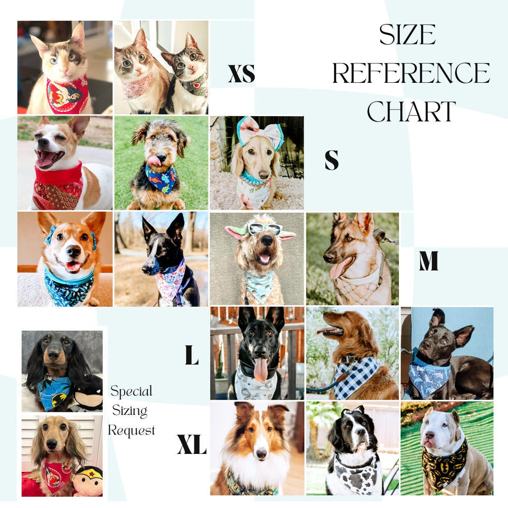 Astrology Pooches
