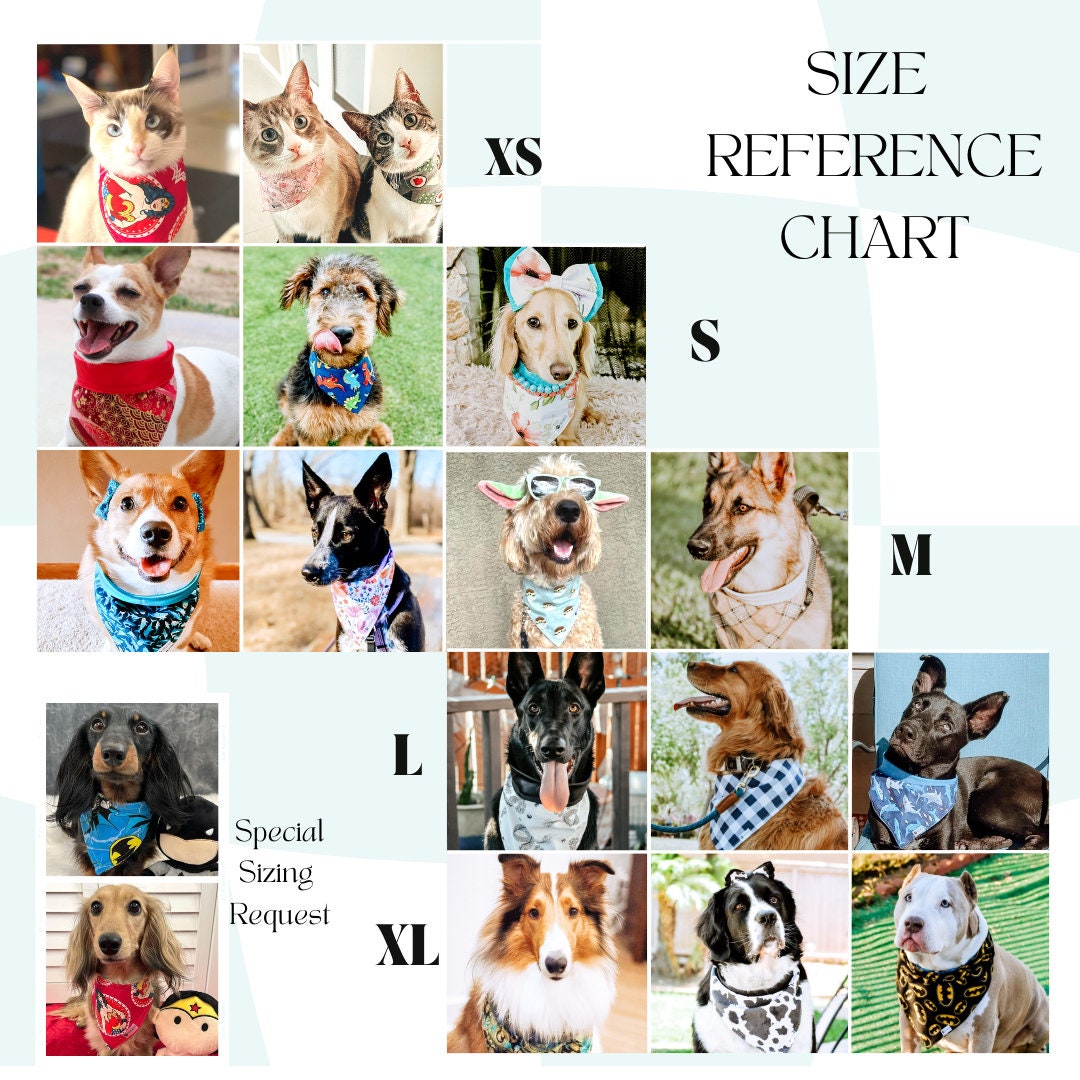 Astrology Pooches
